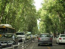 Valiasr Street Tehran