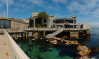 Monterey Bay Aquarium Monterey Bay Aquarium 4