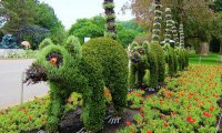 Plant Sculptures At The 2013 Mosaicultures Mosaicultures Internationales 3