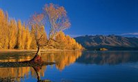 Wanaka Lake Accommodation Wanaka Lake 2