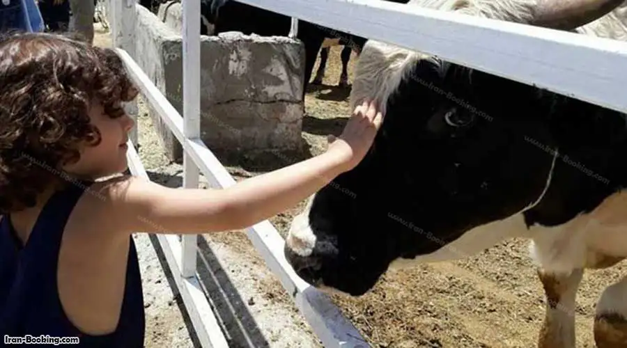 image 7 from Khorshid Farm Hotel