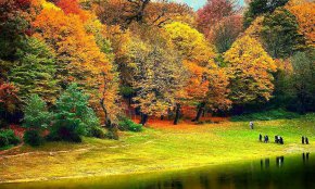 پارک جنگلی النگدره