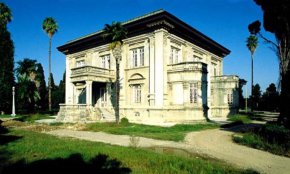 کاخ سلطنتی بابل