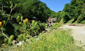 آبشار ماسوله