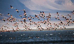 تالاب میقان