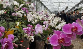 باغ گیاه شناسی نوشهر