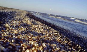 ساحل رامدشت