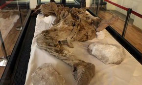 موزه مردان نمکی