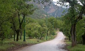 پارک جنگلی تشبندان