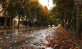 خیابان ولیعصر