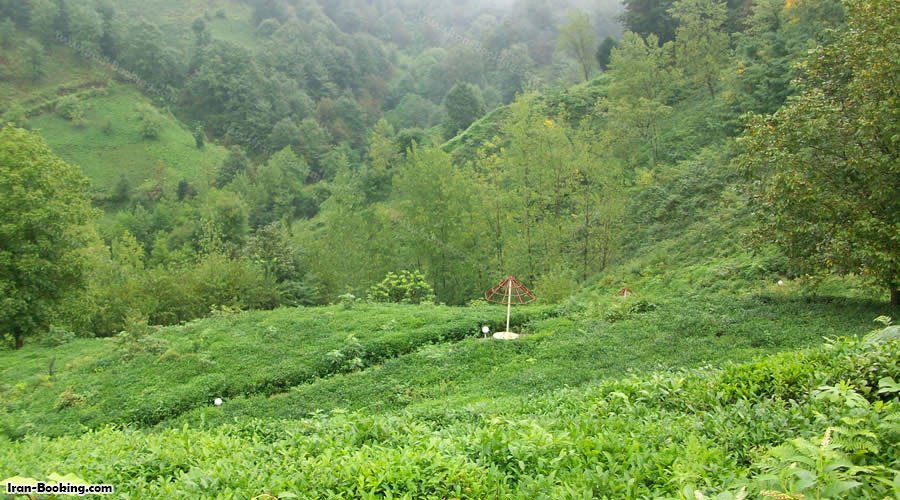 محوطه هتل امپراطور چلک لاهیجان