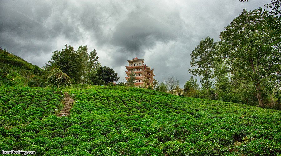 اطراف هتل امپراطور چلک لاهیجان