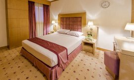 image 8 from Sun Plaza Hotel Arman