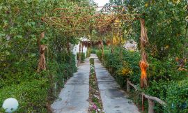 image 3 from Fanoos Hotel Kish