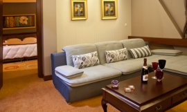 image 8 from Shiraz Grand Hotel