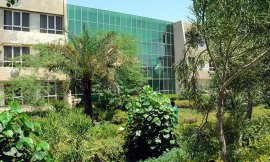 image 4 from Lotus Hotel Kish