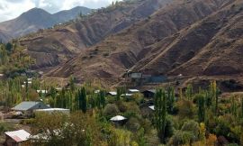 image 2 from Navizar Hotel Alamut