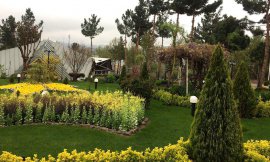 image 13 from Park Hayat Hotel Mashhad
