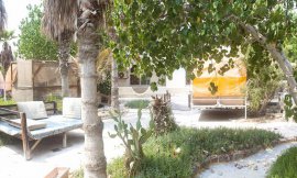image 7 from Pars Nik Hotel Kish