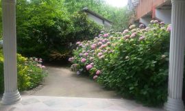 image 2 from Pouria Hotel Rasht