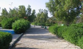 image 4 from Simorgh Hotel Kish