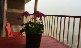 image 11 from Ziarat Hotel Gorgan