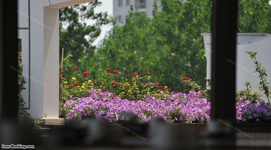 ویو اتاق هتل ونوس پلاس چالوس