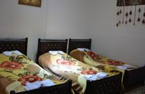 دو تخته تویین نرگس همکف